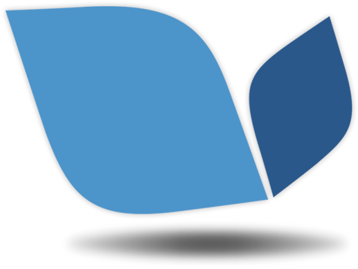 Blue Tone Media Logo